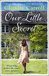 Our Little Secret cover