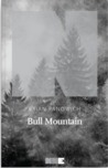 Bull Mountain cover