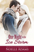 One Night in the Ice Storm (One Night novellas, #2) by Noelle Adams