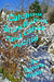 Catching Snowflakes And Other Poems by Victoria Zigler