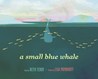 A Small Blue Whale cover