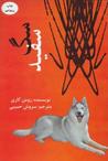 سگ سفید