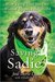 Saving Sadie How a Dog That No One Wanted Inspired the World by Joal Derse Dauer
