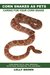 Corn Snakes as Pets Corn Snake facts, care, breeding, nutritional information, tips, and more! Caring For Your Corn Snake by Lolly Brown