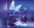 Unraveling (Unblemished #2) by Sara Ella