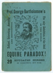the-equine-paradox-can-you-solve-it