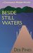 Beside Still Waters A Chautauqua Murder Mystery (Mimi Goldman Mystery Book 4) by Deb Pines