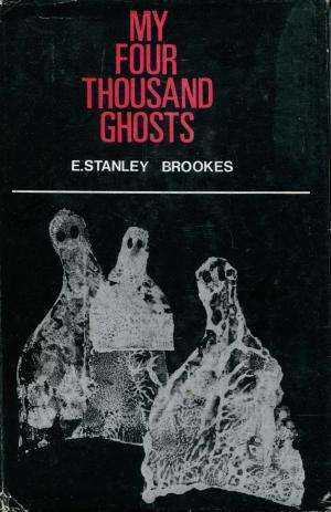 my-four-thousand-ghosts