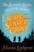 Escape From Sunset Grove (Lavender Ladies Detective Agency, #2) by Minna Lindgren