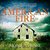 American Fire Love, Arson, and Life in a Vanishing Land by Monica Hesse