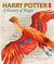 Harry Potter A History of Magic by British Library