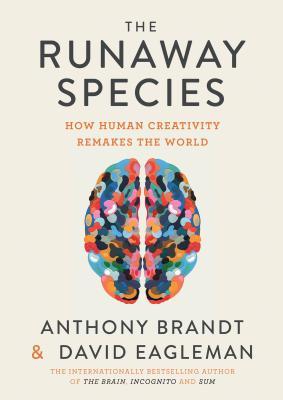 How Human Creativity Remakes the World -  David Eagleman & Anthony Brandt