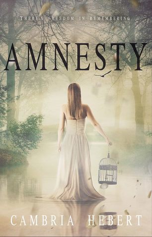 Amnesty (Amnesia, #2)