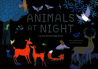 Animals at Night