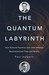The Quantum Labyrinth How Richard Feynman and John Wheeler Revolutionized Time and Reality (The Theoretical Minimum) by Paul Halpern