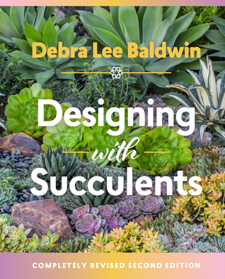 designing-with-succulents