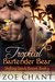 Tropical Bartender Bear (Shifting Sands Resort, #3) by Zoe Chant