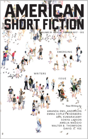 american-short-fiction-volume-20-issue-65