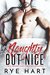 Naughty but Nice A Best Friend's Dad Christmas Romance by Rye Hart