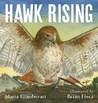 Hawk Rising