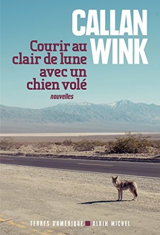 courir-au-clair-de-lune-avec-un-chien-vol-terres-d-amrique