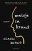 Meisje in brand by Claire Messud