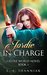 Jordie In Charge (A Castre World Novel Book 1) by E. A. Shanniak