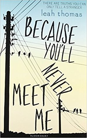 Because You'll Never Meet Me (Because You'll Never Meet Me #1)