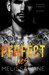 Perfect Lies (Los Santos Cartel #1) by Melissa Jane
