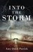 Into the Storm The Thunderbird Chronicles Book 2 (Volume 2) by Amy Quick Parrish