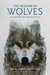 The Wisdom of Wolves Lessons from the Sawtooth Pack by Jim Dutcher