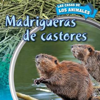 madrigueras-de-castores-inside-beaver-lodges