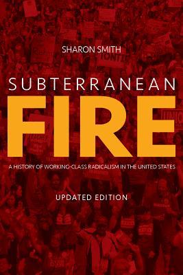 subterranean-fire-updated-edition-a-history-of-working-class-radicalism-in-the-united-states