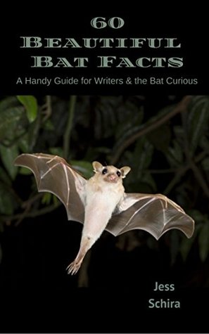 60-beautiful-bat-facts-a-handy-guide-for-writers-the-bat-curious