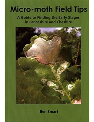 micro-moth-field-tips-a-guide-to-finding-the-early-stages-in-lancashire-and-cheshire