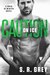 Caution on Ice (Boys of Winter #4) by S.R. Grey