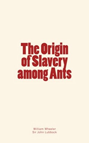 the origin of slavery the origin of slavery