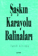akn-karayolu-balinalar
