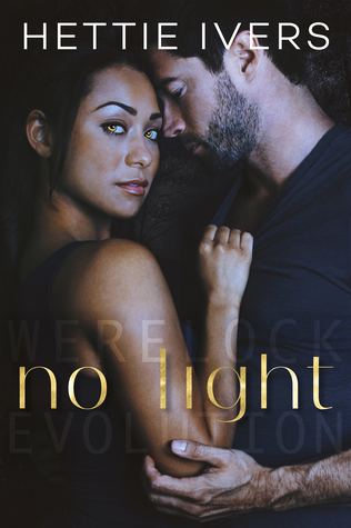 No Light Book Cover