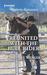 Reunited with the Bull Rider by Christine Wenger