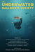 The Underwater Ballroom Society by Stephanie Burgis