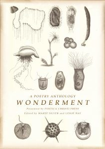 wonderment