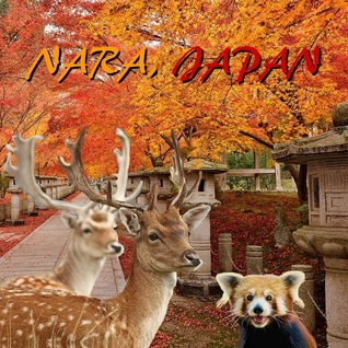 nara-japan