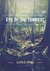 Eye of the Tempest by Lloyd Oppel