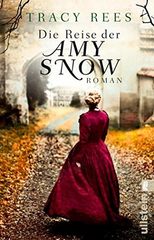 die-reise-der-amy-snow-roman