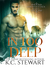In Too Deep (Adirondack Pack, #4) by K.C. Stewart