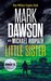 Little Sister A Group Fifteen Novella (Group Fifteen Files Book 3) by Mark Dawson