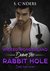 Wicked Wonderland Down the Rabbit Hole (Dark Fairy Tales Book 4) by S. Cinders