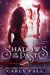 Shadows of the Past (Saint's Grove Book 1) by Carly Fall