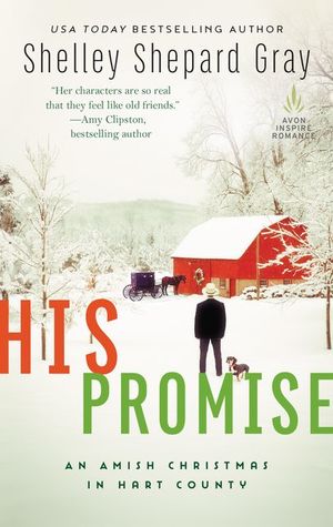 His Promise (The Amish of Hart County #6)